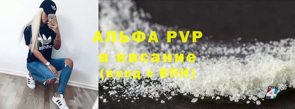 сатива Абинск