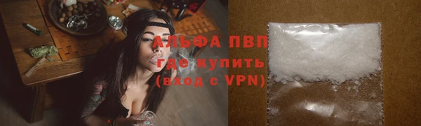 сатива Абинск