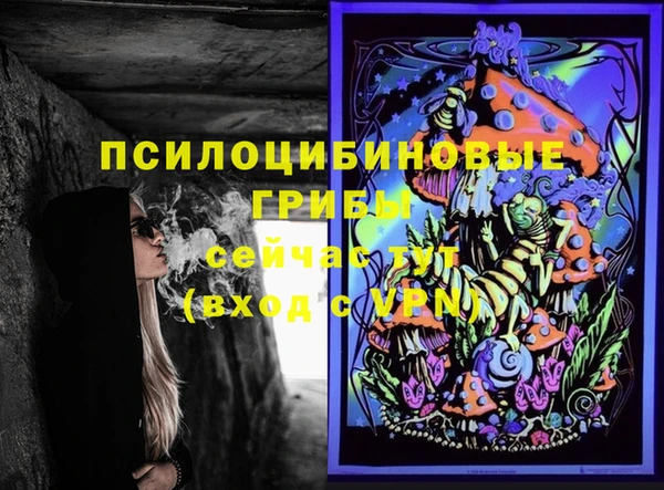 сатива Абинск