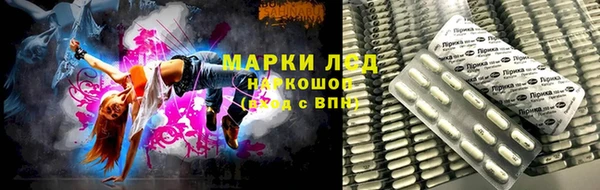 сатива Абинск
