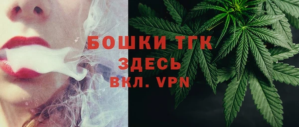 сатива Абинск