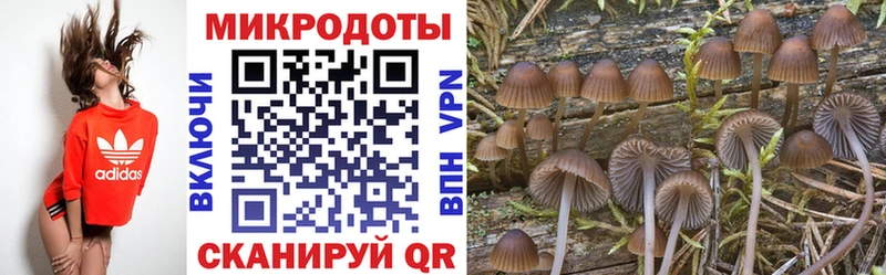 Псилоцибиновые грибы мицелий  Конаково 